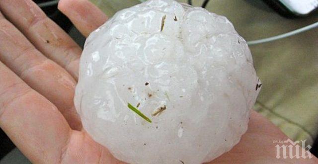 УЖАС! Град Левски е като бомбардиран след ударите от градушка, голяма колкото юмрук (СНИМКА)