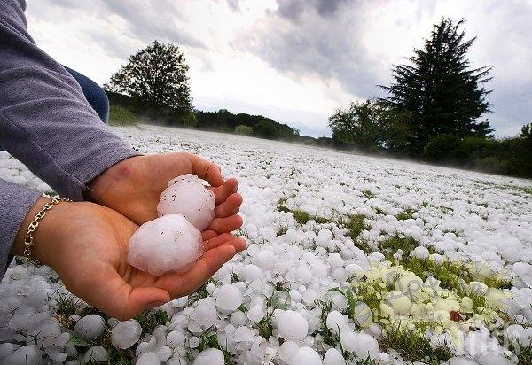 БЕДСТВИЕТО: След градушката в Пловдивско - 64 хектара реколта унищожена напълно