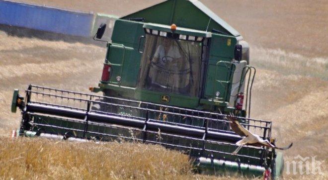 Тракторист забърса 7 тона зърно