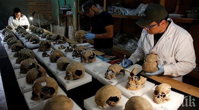 ЗЛОВЕЩО! Учени откриха кула от 650 човешки черепа от времето на ацтеките (ВИДЕО)