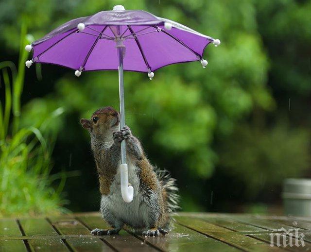 Само за минути в Шумен се изля дъжд за цял месец