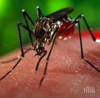 Внимавайте! Малария плъзна в Гърция