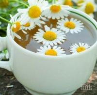 полезно лайката лекува хемороиди