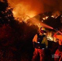 Огнен ад! 150 човека блокирани от горски пожар в Калифорния