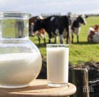 внимание вредни заместителите млякото