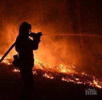 Масова евакуация в Калифорния заради горски пожари
