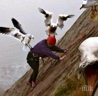 Гарги и гларуси ни нападат в горещините