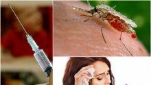 ВНИМАНИЕ! Малария от Гърция настъпва към България