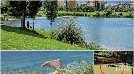 скандално видео див секс езерото дружба случайни минувачи потрес