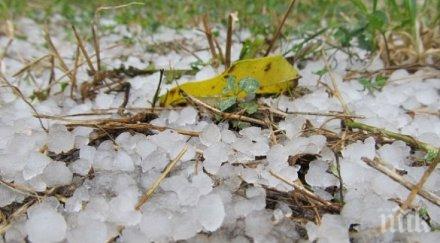 земеделските площи защитени градушки