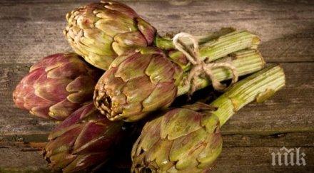 знаем артишока