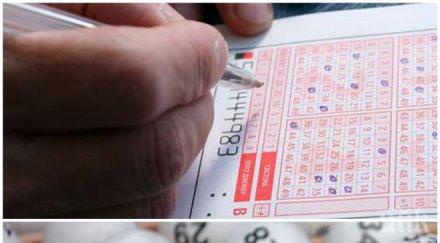 хубаво хубаво семкаджията апи първият тотомилионер откриват трупа марица