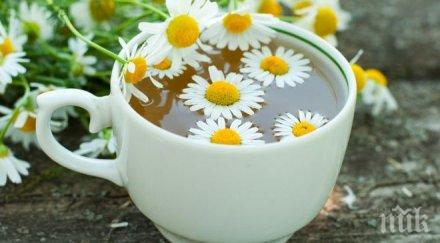 полезно лайката лекува хемороиди