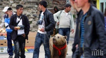 мераклии български паспорти опразниха албанско село