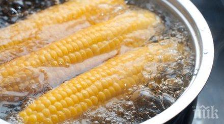 варена царевица прати четири деца майка болница