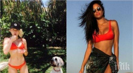 горещо топ красавици пуснаха бански снимки