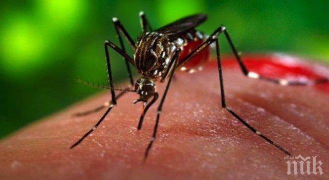 Внимавайте! Малария плъзна в Гърция