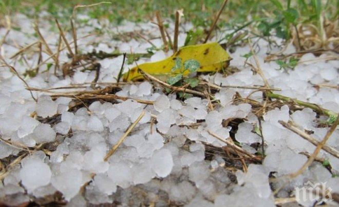 Едва 40% от земеделските площи са защитени от градушки