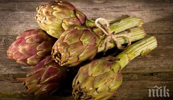 Какво не знаем за артишока