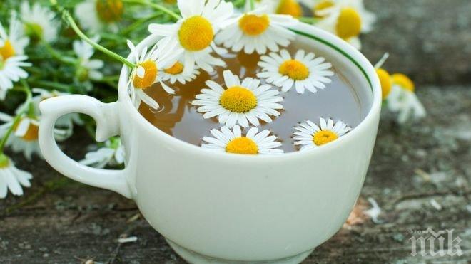 Полезно: Лайката лекува хемороиди