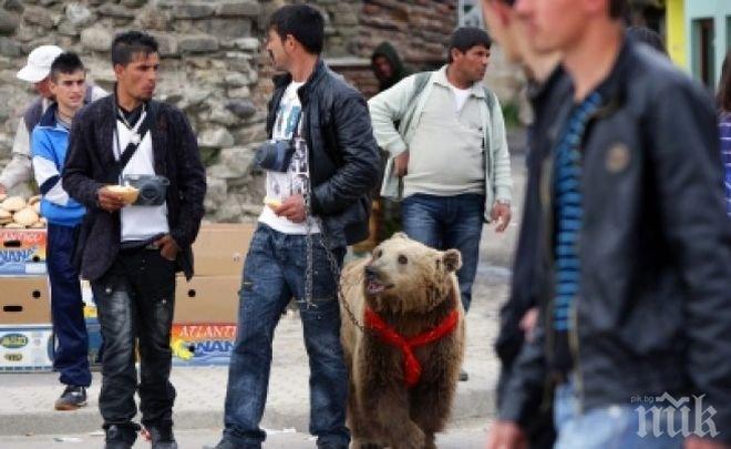 Мераклии за български паспорти опразниха албанско село