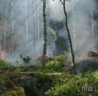 ИЗВЪНРЕДНО! Гръцкият остров Закинтос е в пламъци