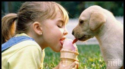 внимавайте страшни опасности дебнат жегите ядем сладолед брашно захар прикритие