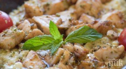 забраниха пилешкото детските градини сатовча