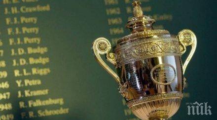 кулисите уимбълдън ананас купата