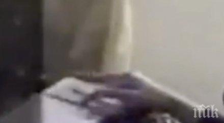 шокиращо видео разкри извънземен изумително дълги пръсти работи обсерваторията sofia