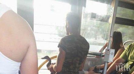 реалност пътник автобус 102 разходи патката