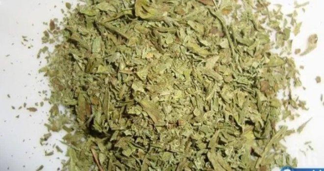 ЗЛОВЕЩО! Комбинацията от синтетични наркотици Билка сее смърт в България!