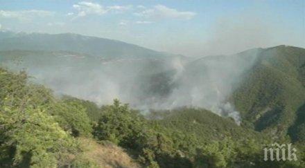 огнеборците овладяха пожара стара кресна