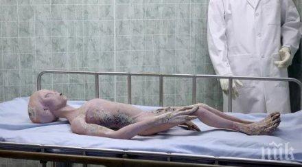 сензационна находка археолози открили мумии изнъвземни разкопки пустиня перу