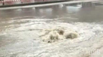 порой удави петрич снимки