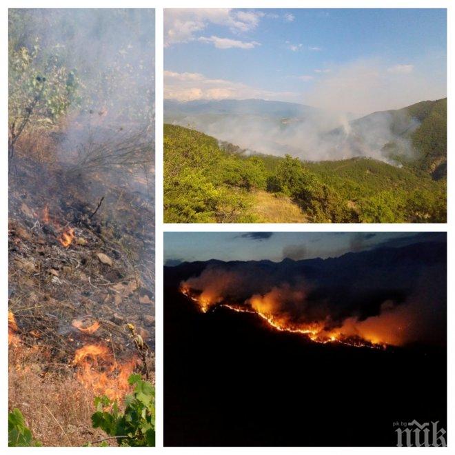 ЕКОКАТАСТРОФА! След пожара в Пирин: За да се възстанови гората, трябват цели 40 години