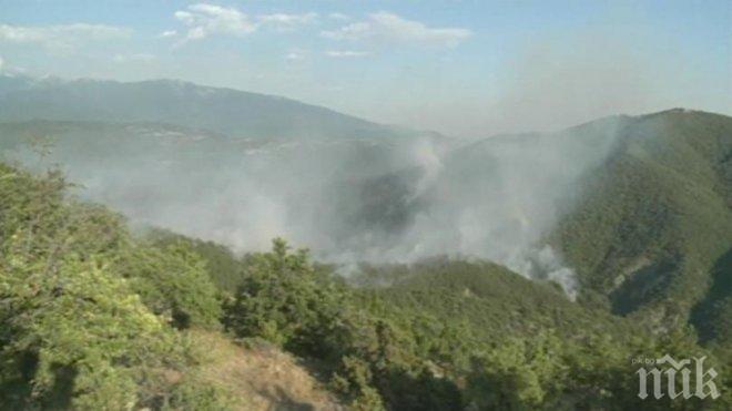 Браво! Огнеборците овладяха пожара при Стара Кресна