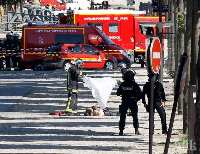 Ужасяващо! Терористите от Париж и Брюксел криели оръжието си в белгийско училище