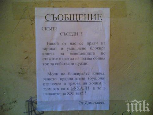 Топ 10 на съседите, които ще ви подлудят