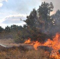 Пожар унищожи 50 декара с пшеница край Каспичан