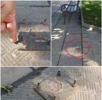 ОПАСНО! Жена се набучи на стърчащи болтове в центъра на Лом 