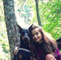 СТРАШНО! Горски от Благоевград газят доберман и бягат