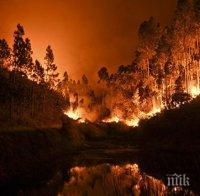 Черна гора в ужас! Иска помощ от ЕС за потушаване на пожарите