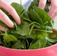 Внимавайте! Суровият спанак е опасен за бъбреците