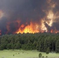 Черна гора поиска международна помощ в битката срещу горските пожари