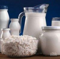 Полезно: Млечната диета топи 5 кг за седмица