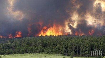 мвнр данни пострадали български граждани пожарите хърватия черна гора