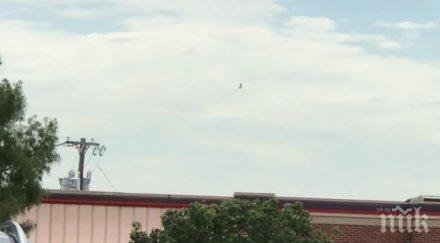 ужас чудовище появи небето далас видео