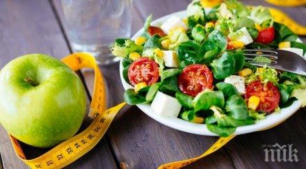 хитовата диета лекарите топи седмица