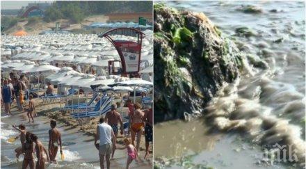 гнусно мръсното море докарва алергии вируси
